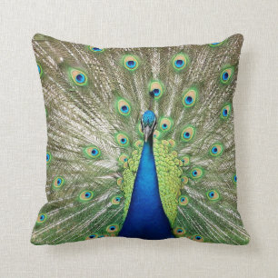 Coussin Paon
