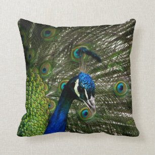 Coussin Paon