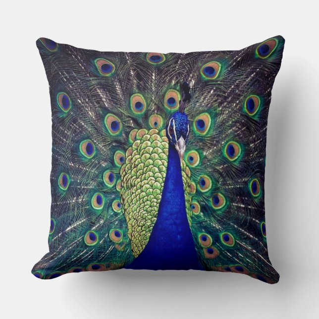 Coussin Paon bleu cobalt (Recto)