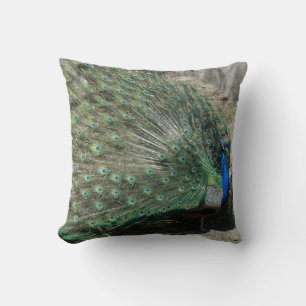 Coussin Paon Magnifique