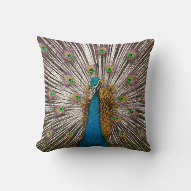 Coussin Paon Pacifique (Recto)