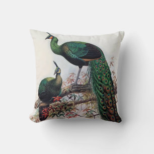 Coussin Paon, paon vert pavo muticus 1872 ...