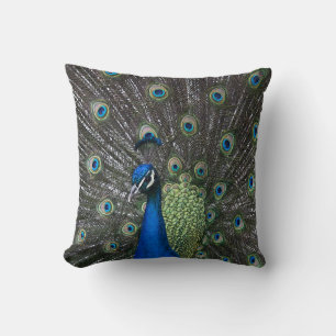 Coussin Paon Peint