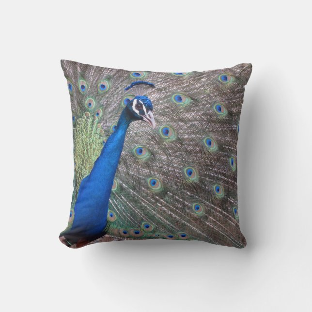 Coussin Paon vintage renversant (Recto)