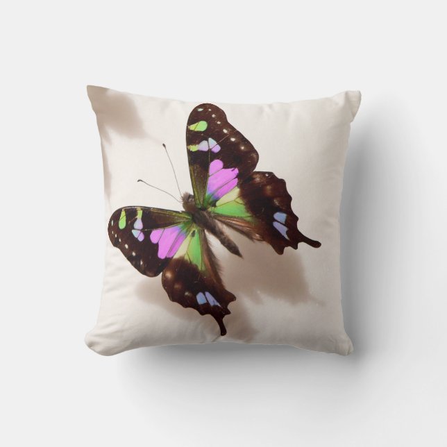 Coussin Papier Peint Papillon Coloré Mo Jo (Recto)