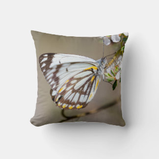 Coussin Papillon 1