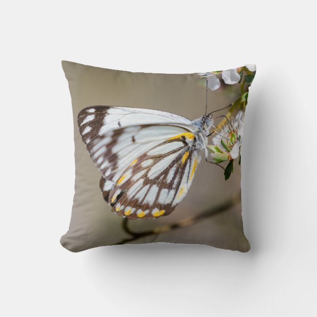 Coussin Papillon 1 (Recto)