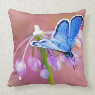 Coussin Papillon azuré