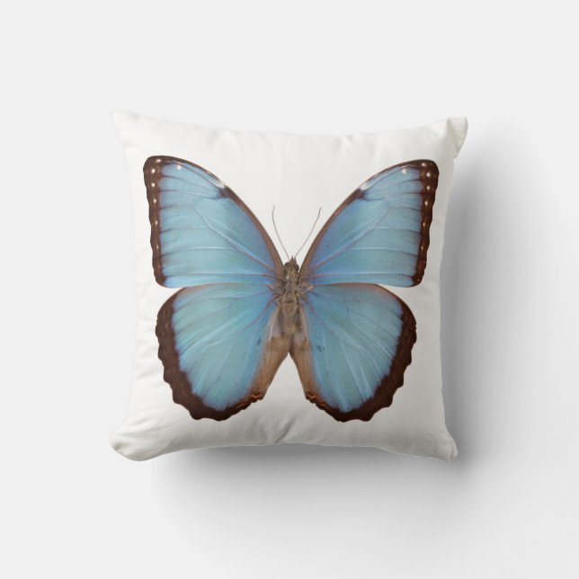 Coussin Papillon bleu Morpho (Recto)