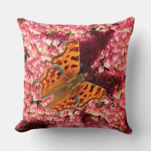Coussin Papillon Comma sur Sedum