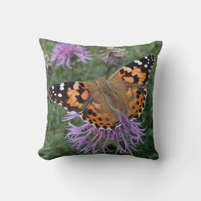 coussin papillon 'Dame peinte' (Recto)