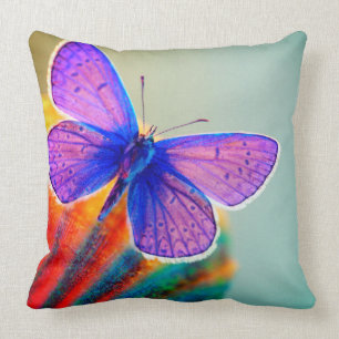 Coussin Papillon d'Artsy
