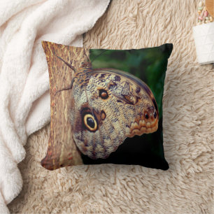 Coussin Papillon de hibou Brown 
