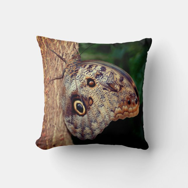 Coussin Papillon de hibou Brown  (Recto)