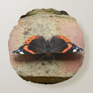 Coussin papillon de l'amiral rouge