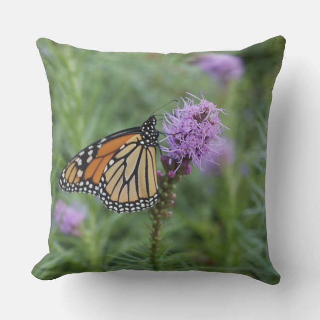 Coussin Papillon de monarque (Recto)
