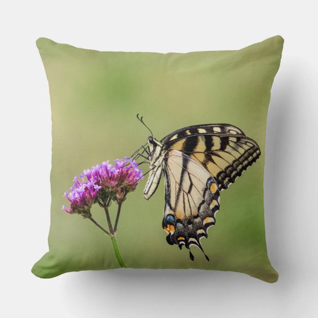 Coussin Papillon d'épaisse du tigre oriental (Recto)