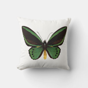 Coussin Papillon d'oiseau vert