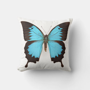 Coussin Papillon d'Ulysse