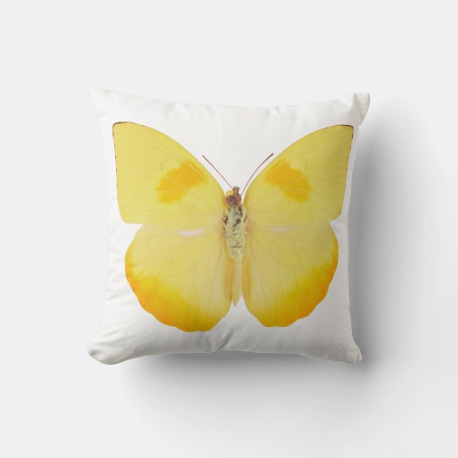 Coussin Papillon jaune de basse commune (Recto)