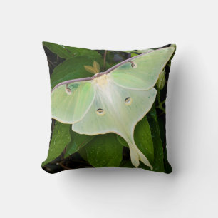 Coussin Papillon luna sur clématite de Carnaby