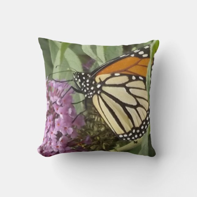 Coussin Papillon monarque (Recto)