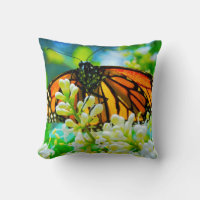 Papillon Monarque orange Photo Coloré Moderne