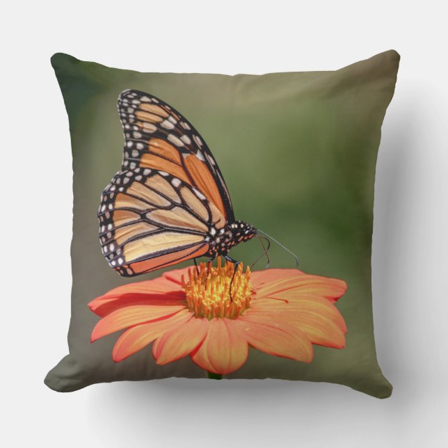 Coussin Papillon Monarque sur une fleur d'orange (Recto)