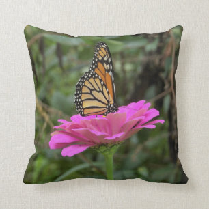 Coussin Papillon Monarque sur une jolie fleur rose Zinnia