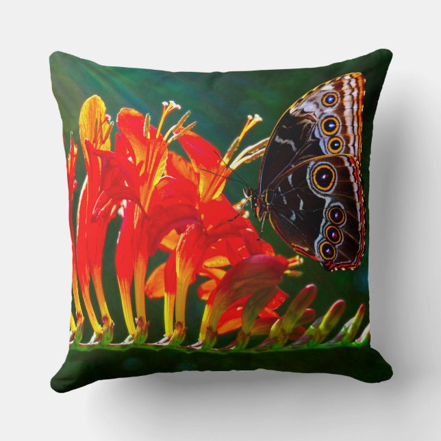 Coussin Papillon morpho bleu sur fleurs de Crocosmia Lucif (Verso)