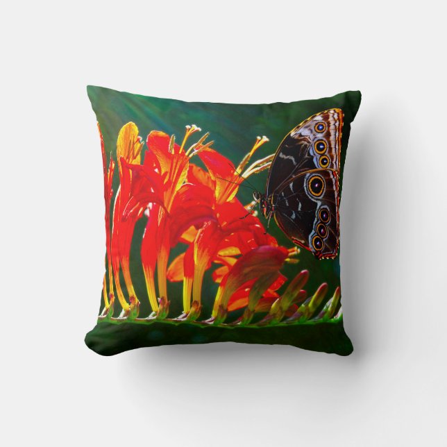 Coussin Papillon morpho bleu sur les fleurs de Crocosmia L (Recto)