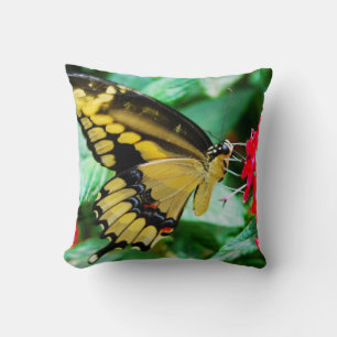 Coussin Papillon noir blanc blanc jaune photo simple