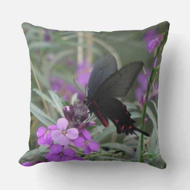 Coussin Papillon noir sur les fleurs violettes Lancer l'or (Recto)