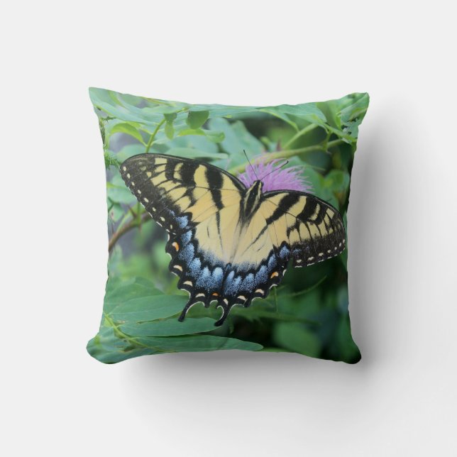 Coussin Papillon Papilio glaucus de l'Est (Recto)