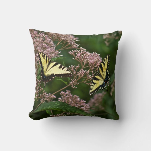 Coussin Papillons à queue de tigre sur Joe Pye Weed (Recto)