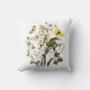 Coussin Papillons d'Europe vintage