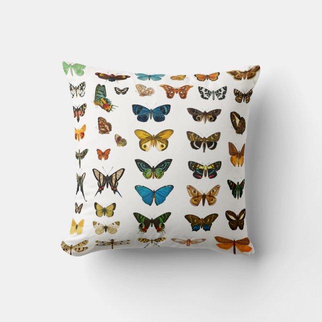 Coussin Papillons vintages Illustration Oreillère à lancer (Recto)