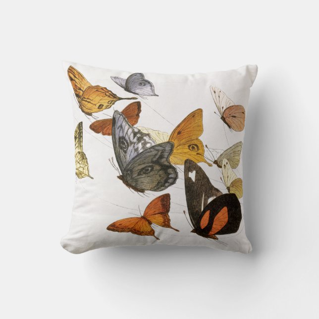 Coussin Papillons vintages Illustration Oreillère à lancer (Recto)