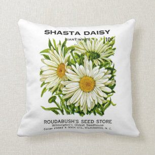 Coussin Paquet vintage de graine de marguerite de Shasta