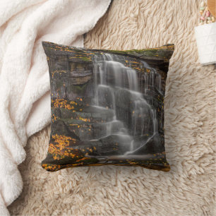 Coussin Parc d'État de Blackwater Falls