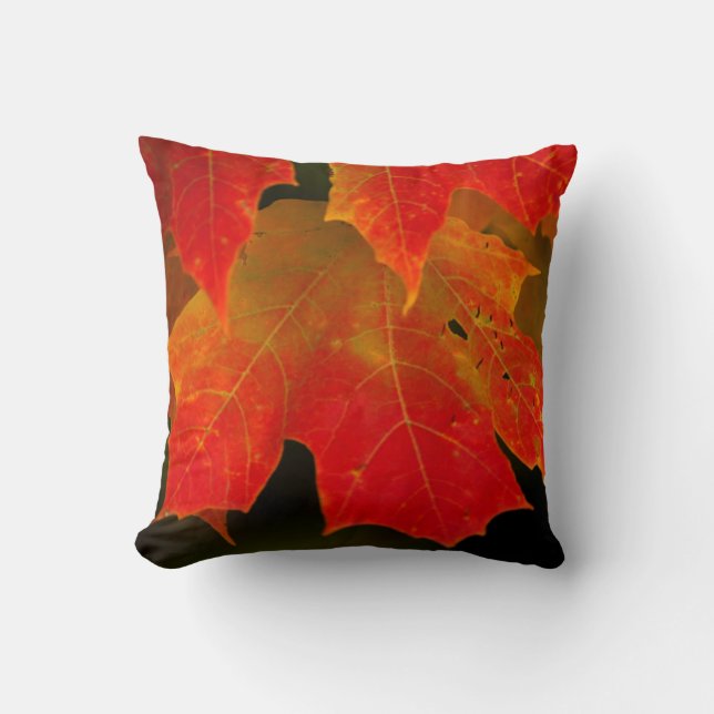 Coussin Parc d'État d'Itasca, couleurs d'automne 2 (Recto)