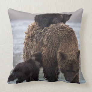Coussin Parc national de Clark de lac bear Brown