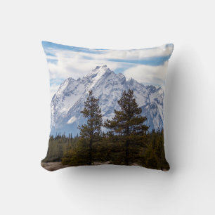 Coussin Parc national de Grand Teton chaîne Teton