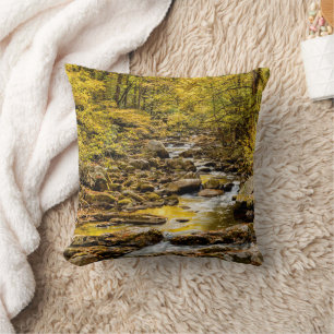 Coussin Parc national des Great Smoky Mountains. Big Creek