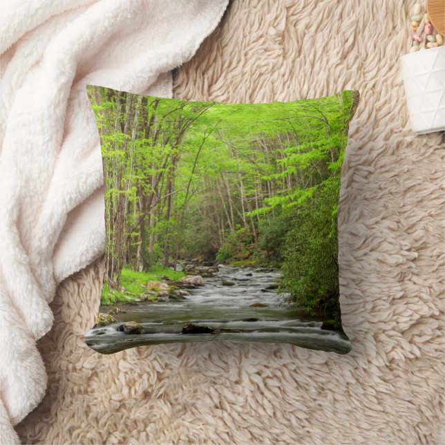 Coussin Parc national des Great Smoky Mountains Caroline d (Couverture)