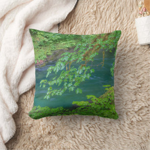 Coussin Parc national Olympique, État de Washington