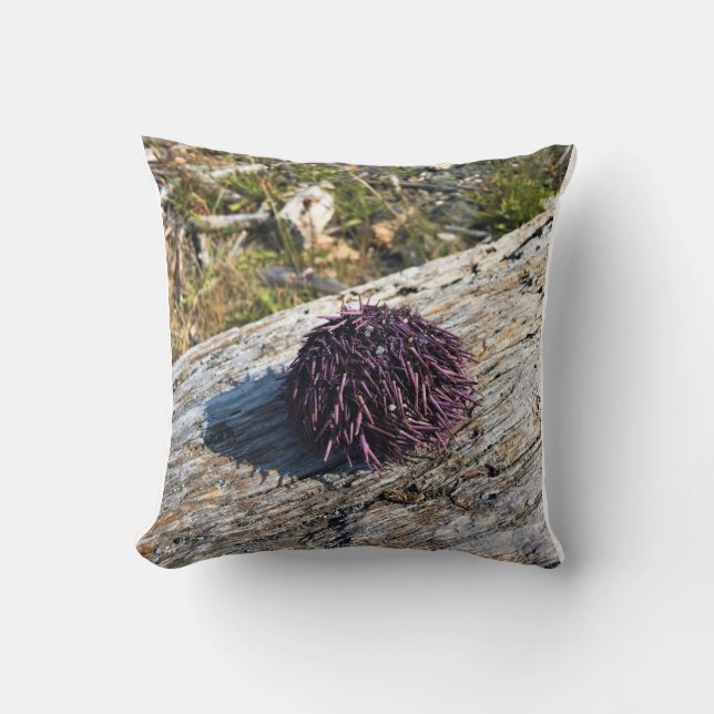 Coussin Parc Rock State de Sisters (Recto)