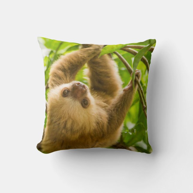 Coussin Paresse à l'envers des images | de Getty (Recto)