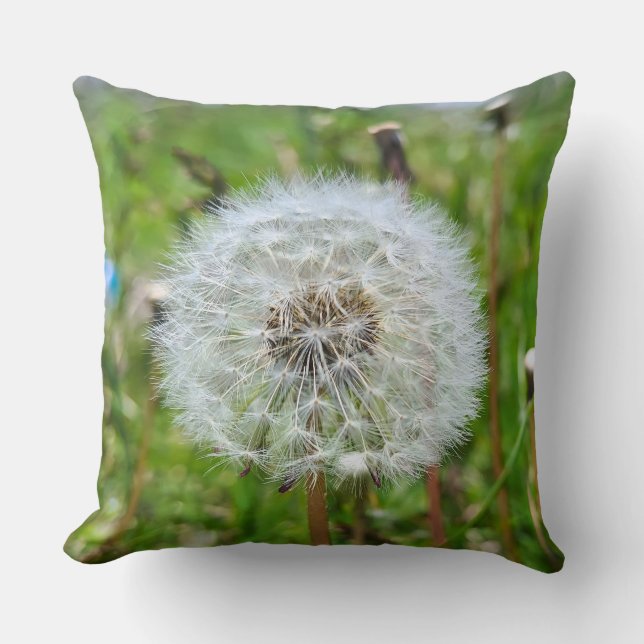 Coussin Parfaite dent-de-lion – Photographie botanique mac (Recto)