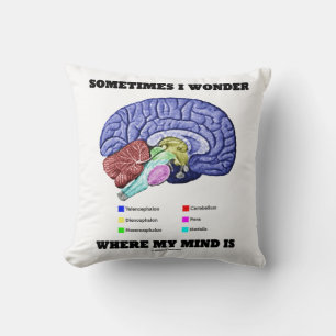 Coussin Parfois Je Me Demande Où Mon Esprit Est Humour Cer